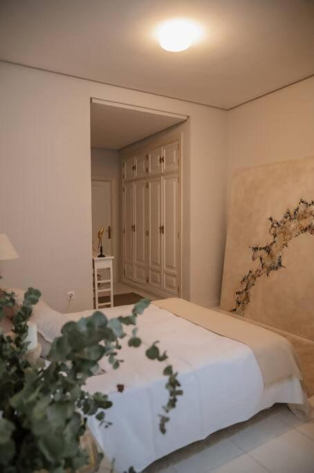 Casa Aguila Casco Antiguo Patio Privado Apartment Caceres Exterior photo